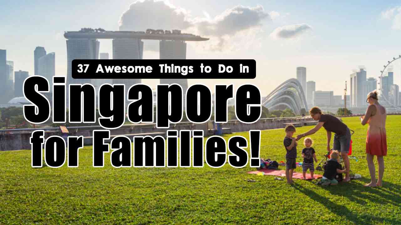 37 Awesome Things to Do in Singapore for Families! MysticKnots
